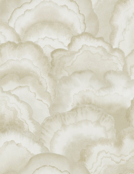 Обои York Natural Discovery (Candice Olson) NT6182
