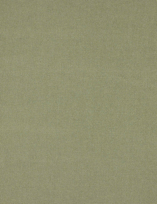 Ткань Colefax and Fowler Tyndall Linen F4686/16