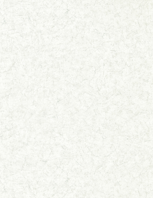 Обои Zoffany Folio ZFOW312956