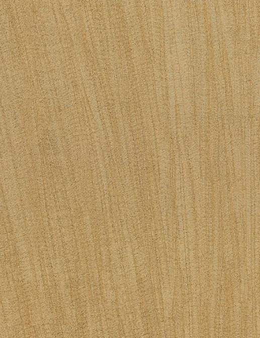 Обои Arte Amazone 2 23525