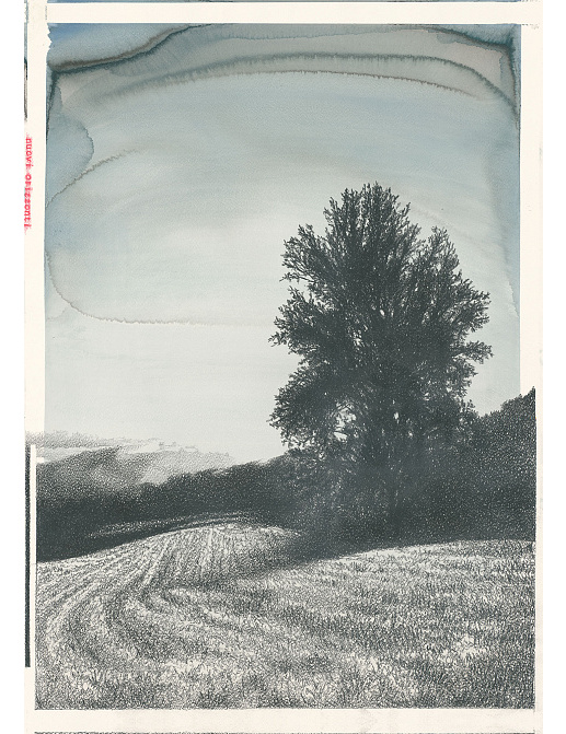 Панно и фотообои Tecnografica Collection 2019 58092-1