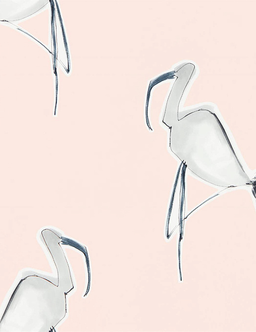 Обои Scion Zanzibar 111999
