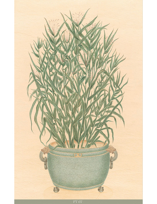 Панно и фотообои Iksel Scenic & Architectural Wallpapers Trees In Celadon Pots PT07