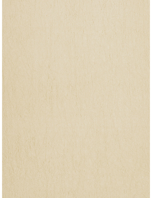 Ткань Trend Silky Solids Drapery 02838/Stone