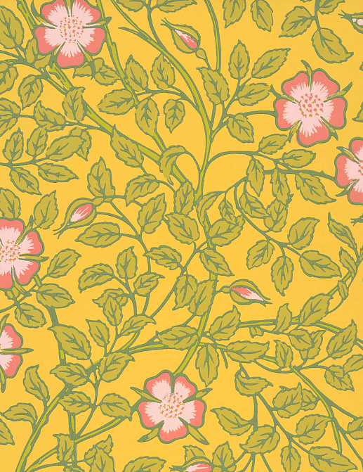 Обои Little Greene National Trust Papers III 0263BRINDIA