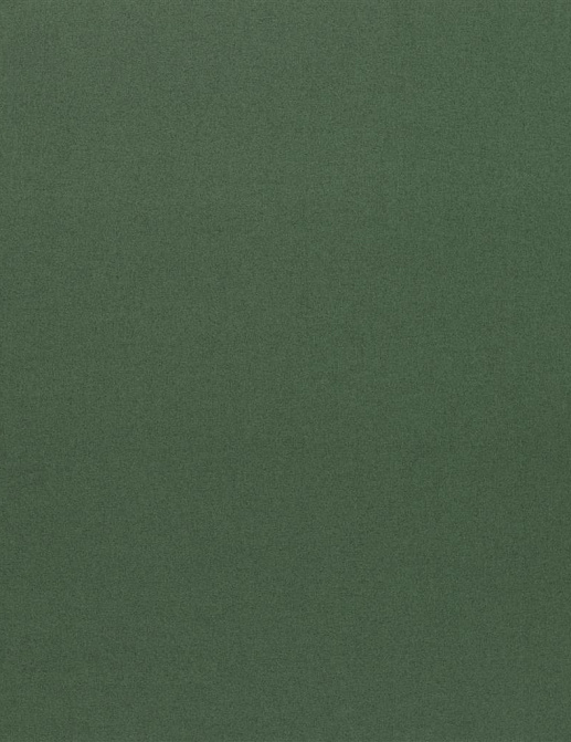 Ткань Designers Guild Melton Wools FDG2862/01