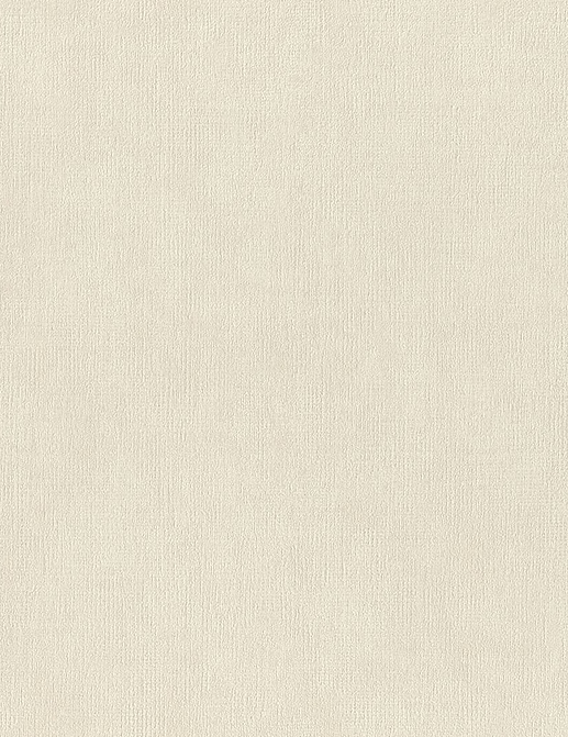 Обои Rasch Настенные структуры. Том 4 / Wall Textures XL Vol. 4 941432
