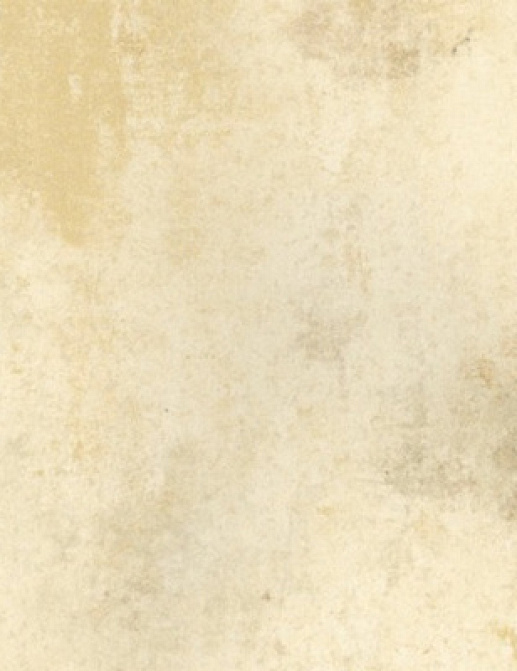 Обои Fresco Elegant SZ001476