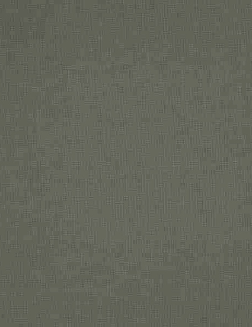 Ткань Daylight Supreme Cashmere/Slate