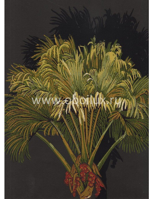 Обои York Antonina Vella - Botanica VB6761