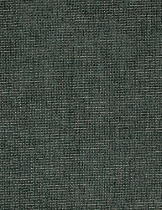 Ткань Colefax and Fowler Roscoe F3831/24
