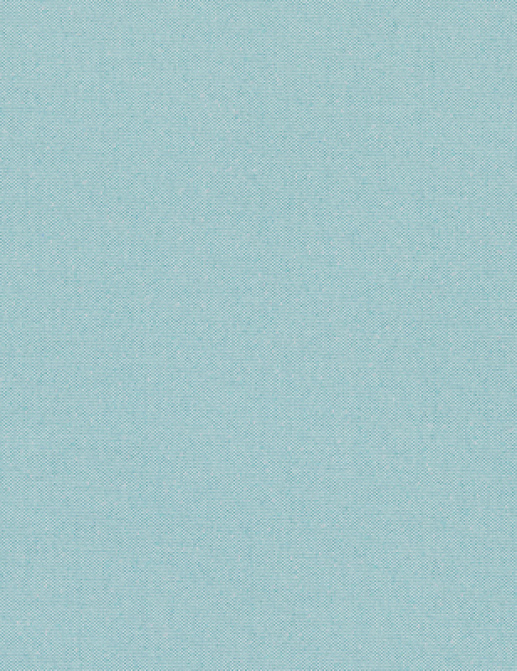Ткань Designers Guild Aviano F1911/16