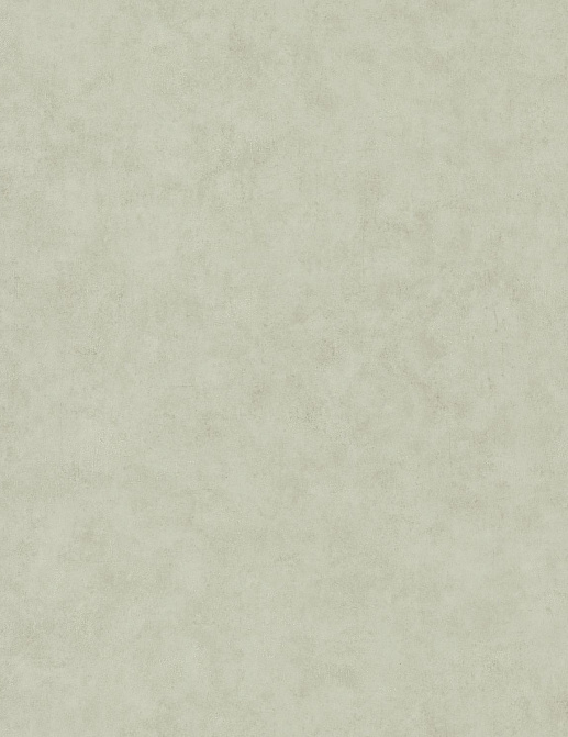 Обои Caselio Beton 2 BTO101487270