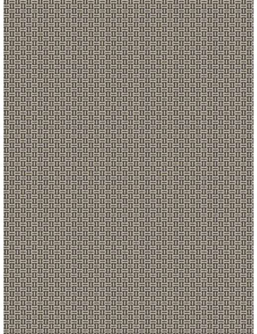 Ткань Fabricut Vignettes Vol.XVI Graphite Flashback/Grey