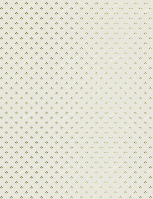 Обои Sanderson Classic Collection II DCLAEL101