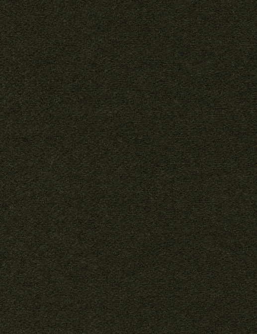 Ткань Elitis Flanelle WO10162