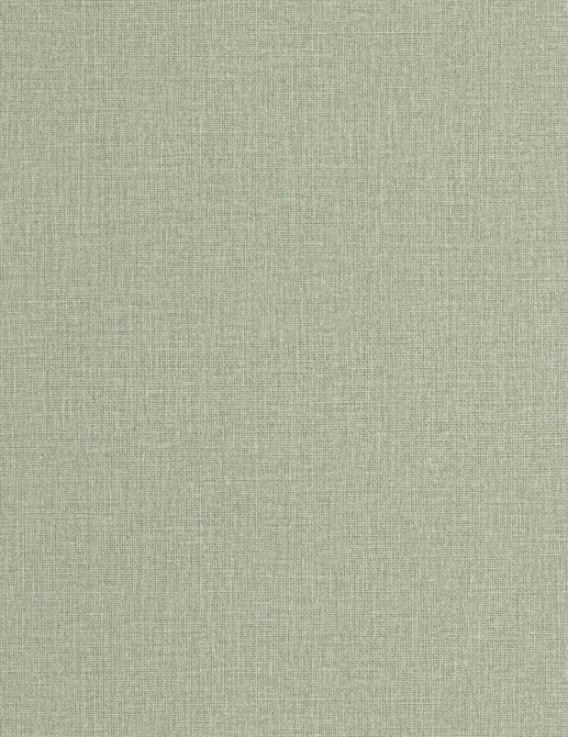Обои Caselio Jute Essentiel JUT104017769