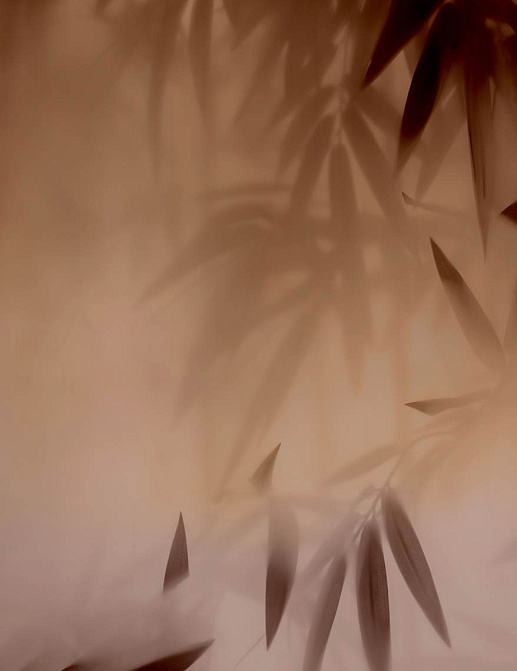 Обои Glamora Creative Wallcovering GLIX342A