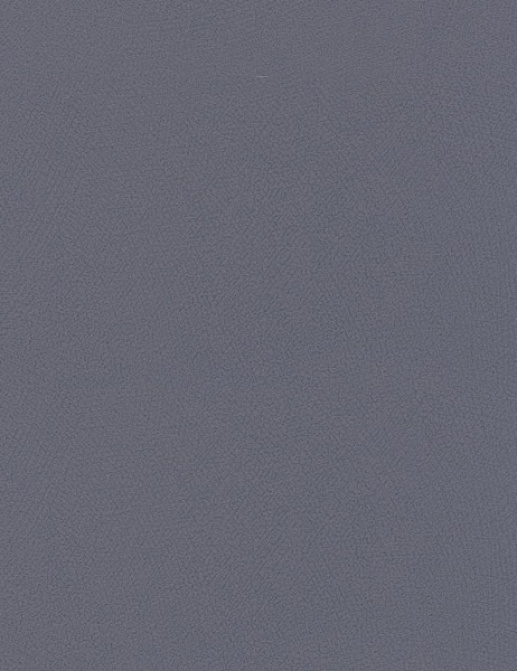 Обои Rasch Blue Velvet 610000