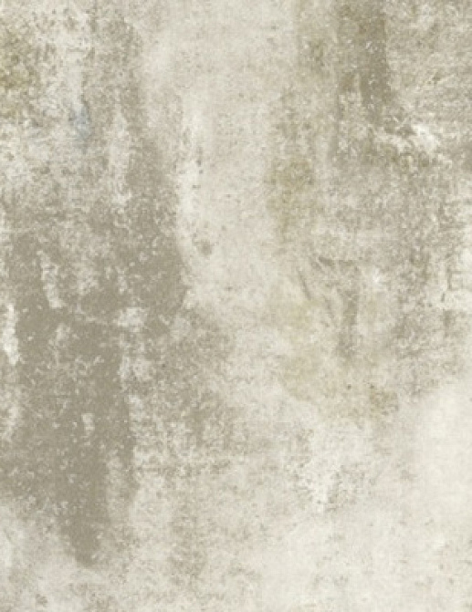 Обои Fresco Elegant SZ001472