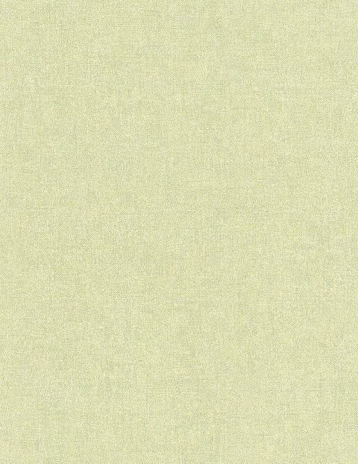 Обои Casadeco So Color 5 COLR88707758