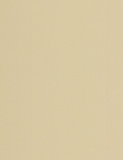 Обои Chelsea Decor Vision DL22826