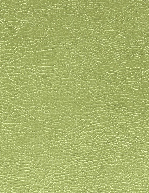 Ткань Designers Guild Kalahari FDG2167/21