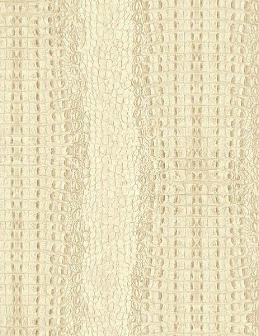 Обои York Carey Lind - Menswear MW9251