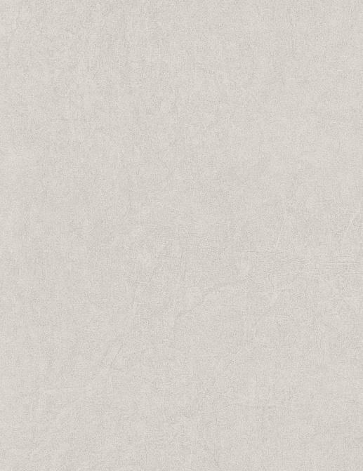 Обои Casadeco Cotton Touch COTO82381336