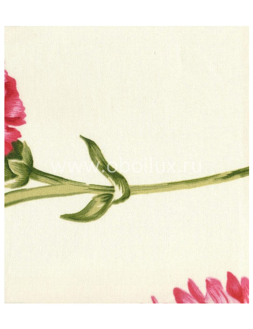 Обои York Antonina Vella - Botanica VB6870