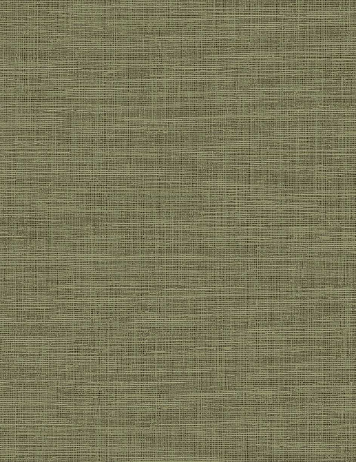 Обои Wallquest Studio Textures JT30301