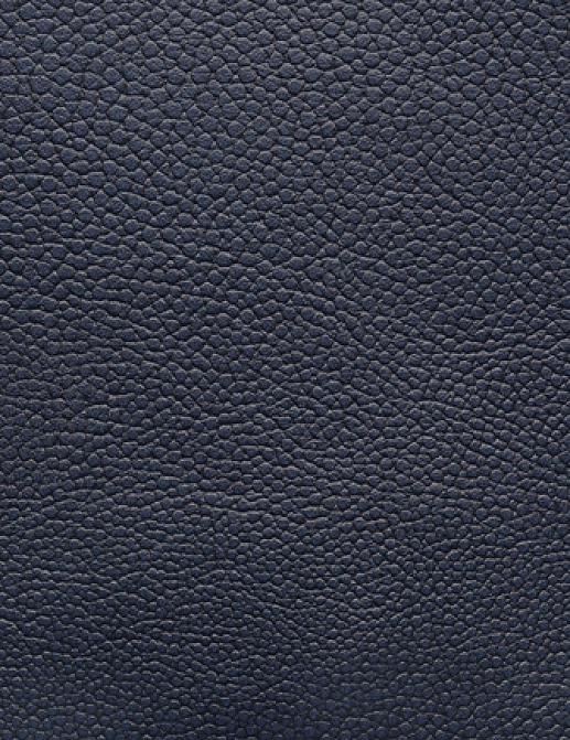 Ткань Holly Hunt Holly Hunt Leather 6000/67