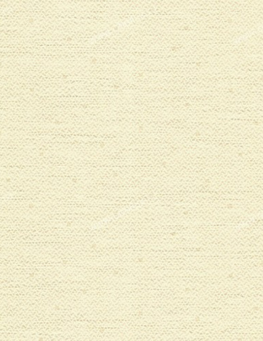 Обои York Carey Lind - Organic Finishes ZV6898W
