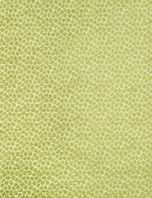 Ткань Kravet Gis Performance Agave 34682/3
