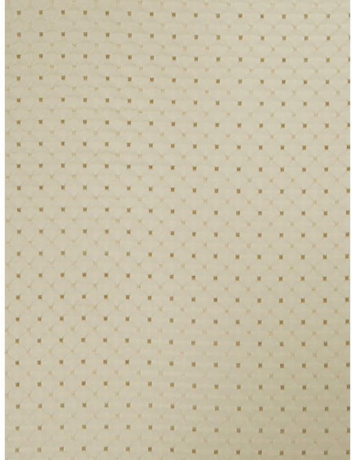 Ткань Trend Lemon Zest Cashew Prints & Wovens Vol.III 02104/Cashew