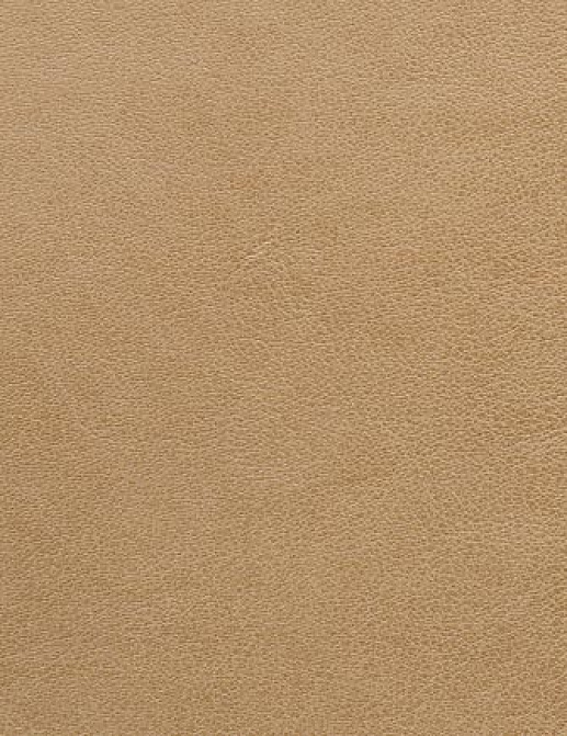 Ткань Holly Hunt Holly Hunt Leather 6005/02
