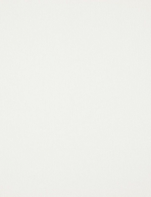 Ткань Daylight Canvas Canvas/Snow