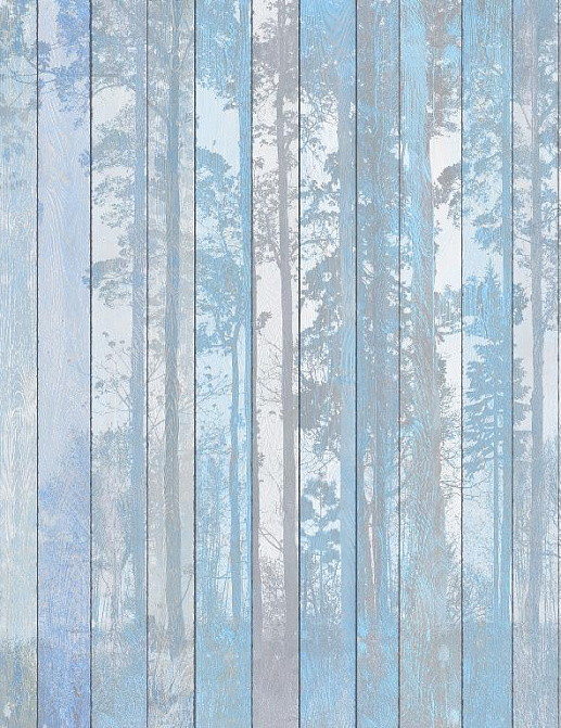 Панно и фотообои Affresco Re-Space NR28 COL2