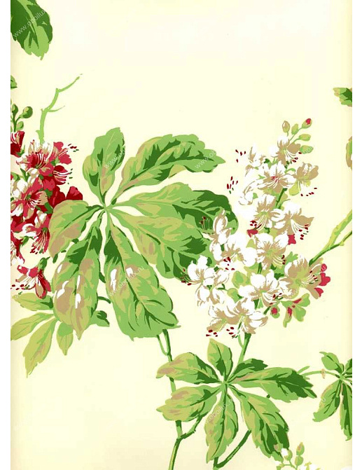 Обои York Ashford House - Flowers S.E. NH6057