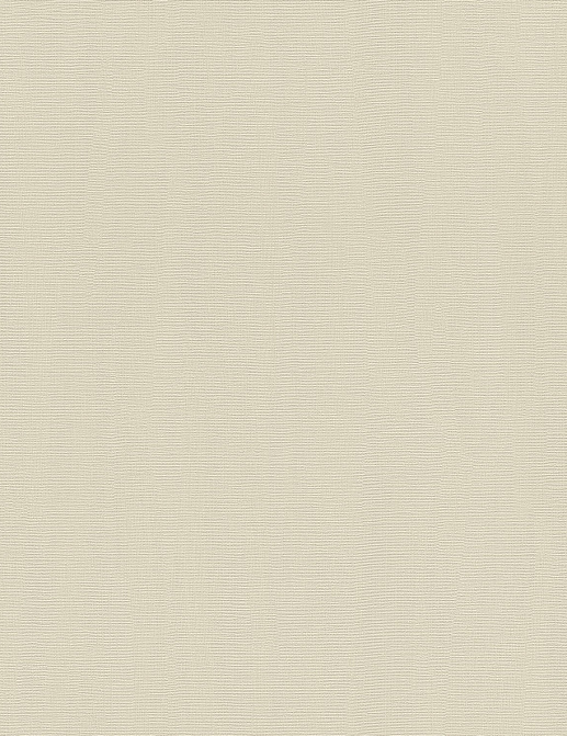 Обои Rasch Hyde Park 411928