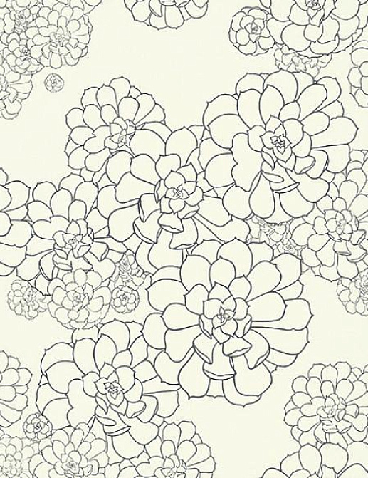 Обои Paint & Paper Library Tresco Aeonium Clean White