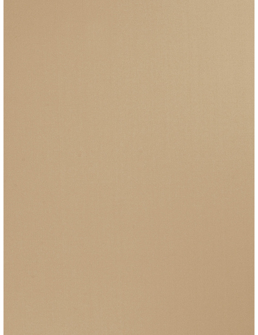Ткань Trend Multipurpose Sleek Satin Vol.II 02022/Beige