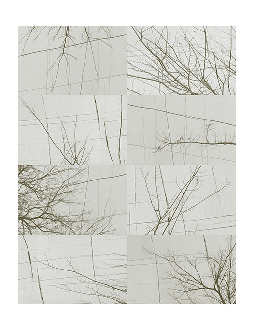 Панно и фотообои Wall & Deco Collection 2017 WDBH1702