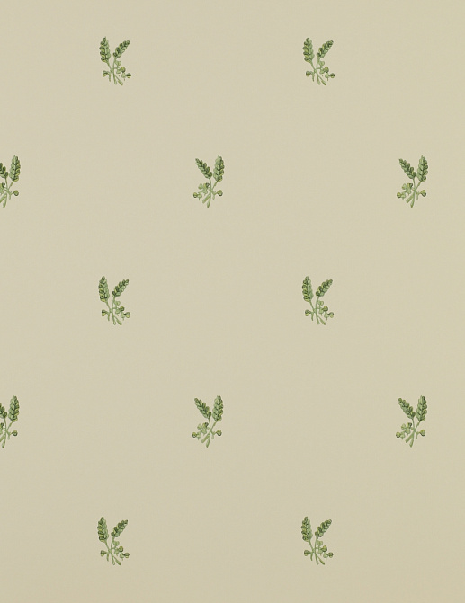 Обои Colefax and Fowler Small Designs 07926-01