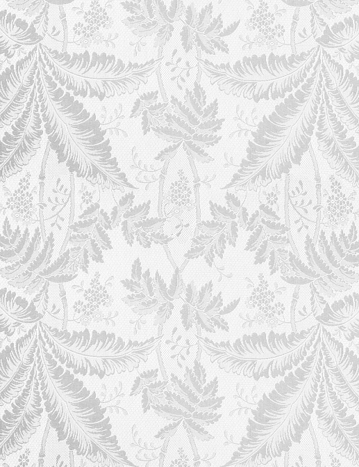 Ткань Anna French Cornucopia Cotton Lace AF00428