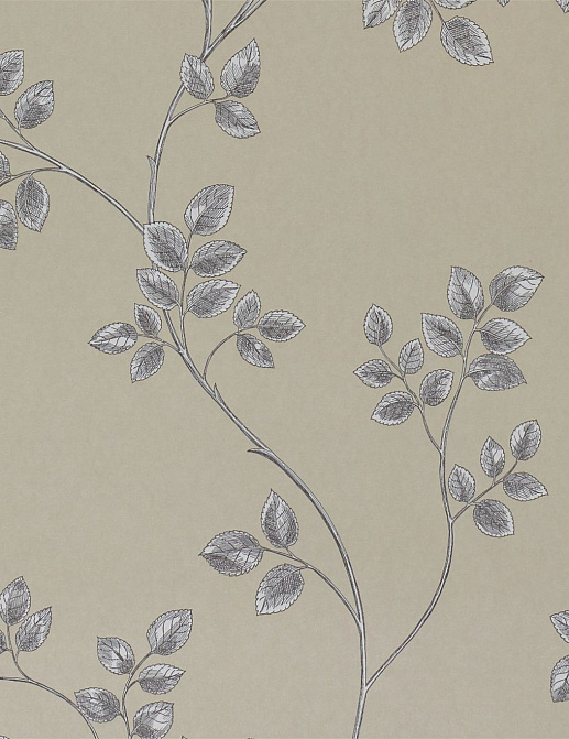Обои Sanderson Parchment Flowers DPFWFR104
