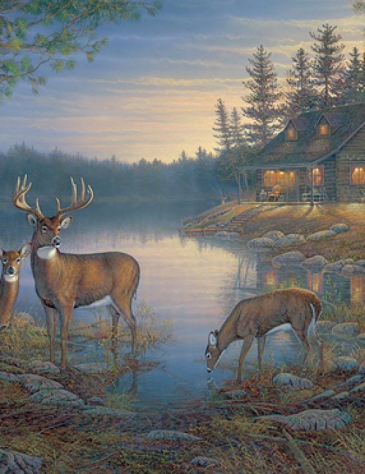 Панно и фотообои York Lake Forest Lodge LM7955M