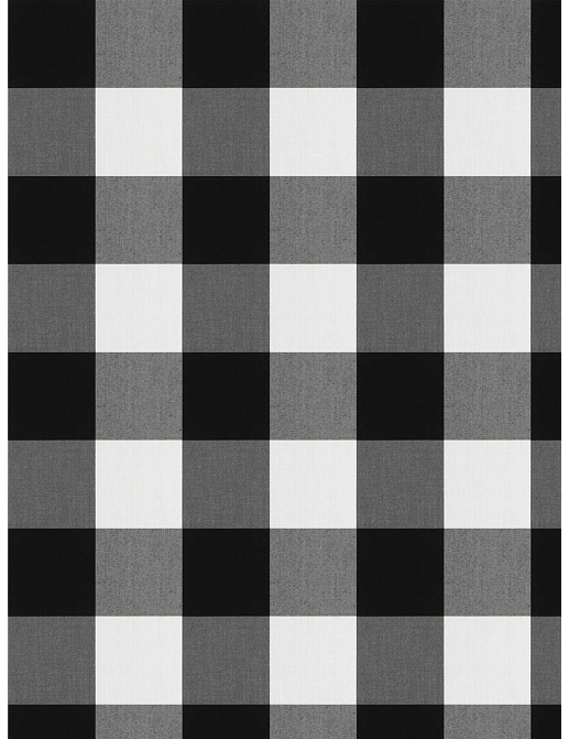 Ткань Fabricut Clean & Classic Indoor/Outdoor Checks & Stripes CampingCheck/Domino