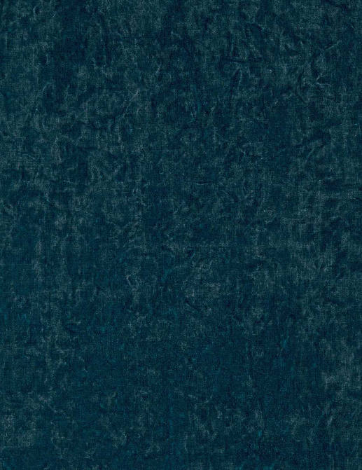 Ткань Kirkby Design Futurebound K5255/02