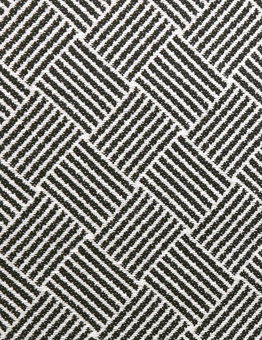 Ткань Clarke & Clarke Black + White F0904/01